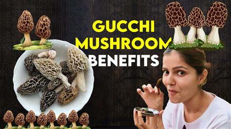 gucchi mushroom rate
